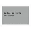 andré bolliger hair works