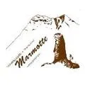 Marmotte