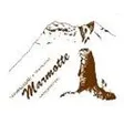 Marmotte