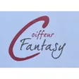 Coiffeur Fantasy