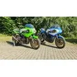 Exclusive Imports Maag
