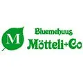 Bluemehuus Mötteli + Co.