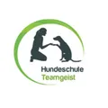 Hundeschule Teamgeist