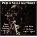 Dogs & Cats Beautysalon