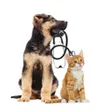 Mobilevet