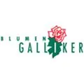 Blumen Galliker