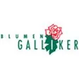 Blumen Galliker