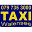Taxi Walensee