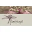 Florena Blumen & Geschenke