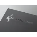 PLAY MUSIC SWISS SAGL