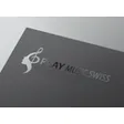 PLAY MUSIC SWISS SAGL