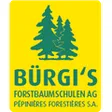 Bürgi's Forstbaumschulen AG