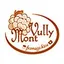 Mont Vully Käse / Fromage Mont Vully