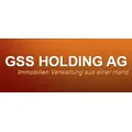 GSS Holding AG