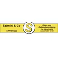 Salmini & Co