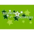 Blumen Edelweiss Hartmann Ursula