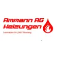 Ammann AG