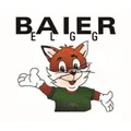Baier Haustechnik Inhaber Vincenzo Paternò