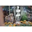 Blumen - Planet GmbH
