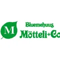 Bluemehuus Mötteli + Co