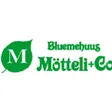 Bluemehuus Mötteli + Co