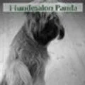 Hundesalon Panda