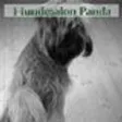 Hundesalon Panda