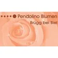 Pendolino Blumen GmbH