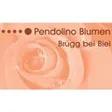 Pendolino Blumen GmbH