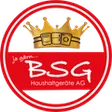 BSG Haushaltgeräte AG