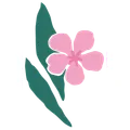 Florita Blumen und Accessoires Zumikon