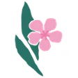 Florita Blumen und Accessoires Zumikon