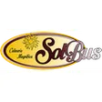 SolBus AG