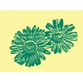 Blumen Eichenberger