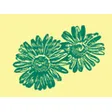 Blumen Eichenberger
