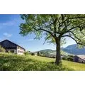 Bed & Breakfast Grangette Bellevue et Espace massage