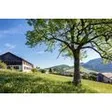 Bed & Breakfast Grangette Bellevue et Espace massage