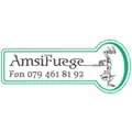 Amsi AG