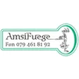 Amsi AG