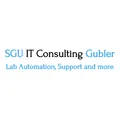 SGU IT Consulting Gubler