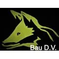 Bau D.V. Voss