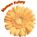 Blumen Kuhny