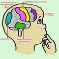 EEG-Neurofeedback Praxis