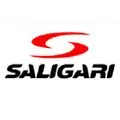 Saligari AG