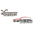 Garage Caflisch AG