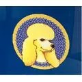 Hundesalon Beauty