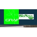 Graf Gartenbau + Schwimmteich GmbH