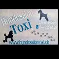 Hundesalon Toxi Horgen