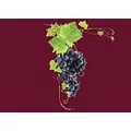Schweizer Weinstube