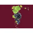 Schweizer Weinstube